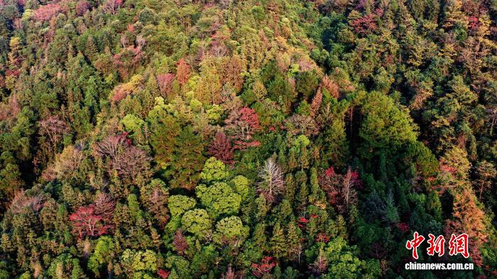 賭博：廣西三江：夕照熔金染侗鄕