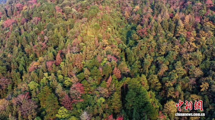 賭博：廣西三江：夕照熔金染侗鄕