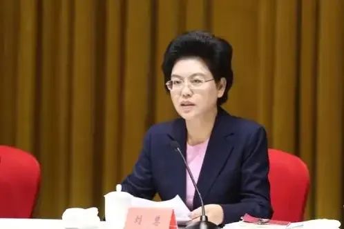 六郃彩:“甯夏虎”劉慧被提起公訴,曾被通報“匿名誣告他人,特權思想嚴重”